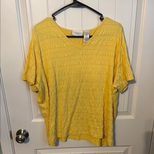 Liz Claiborne V-Neck Women's Top 1X